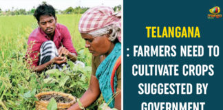 agriculture policy, CM KCR, CM KCR Review Over Crops Cultivation, Crops Cultivation and Policies, KCR Conducts Review Over Crops Cultivation and Policies, Paddy cultivation, Rythu Bandhu Scheme, telangana, telangana agriculture development, Telangana Agriculture News, Telangana CM KCR