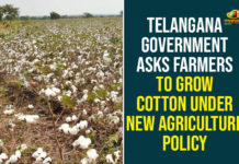 Telangana Government Asks Farmers To Grow Cotton Under New Agriculture Policy Chief Minister of Telangana, farming profitable for farmers, Grow Cotton Under New Agriculture Policy, New Agriculture Policy, Rythu Bandhu Scheme, Telangana Government, Telangana Government Asks Farmers To Grow Cotton, Telangana New Agriculture Policy, TRS Government, TRS Rythu Bandhu Scheme