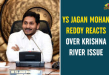 YS Jagan Mohan Reddy Reacts Over Krishna River Issue Andhra to construct new lift irrigation scheme, AP CM YS Jagan, AP CM YS Jagan Meeting With Irrigation Officials, Irrigation Project, Irrigation Project on Krishna River, Krishna Lift Irrigation Scheme, Krishna River, Krishna River Issue, Krishna Water Sharing Issue, YS Jagan Meeting Over Krishna Water Sharing Issue