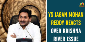 Andhra to construct new lift irrigation scheme, AP CM YS Jagan, AP CM YS Jagan Meeting With Irrigation Officials, Irrigation Project, Irrigation Project on Krishna River, Krishna Lift Irrigation Scheme, Krishna River, Krishna River Issue, Krishna Water Sharing Issue, YS Jagan Meeting Over Krishna Water Sharing Issue