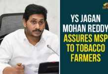 YS Jagan Mohan Reddy, MSP To Tobacco Farmers,Tobacco Farmers,AP Tobacco FarmersAndhra Pradesh Tobacco Farmers,YS Jagan,AP CM YS Jagan,Chief Minister YS Jagan Mohan Reddy,minimum prices for tobacco