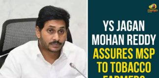 YS Jagan Mohan Reddy, MSP To Tobacco Farmers,Tobacco Farmers,AP Tobacco FarmersAndhra Pradesh Tobacco Farmers,YS Jagan,AP CM YS Jagan,Chief Minister YS Jagan Mohan Reddy,minimum prices for tobacco