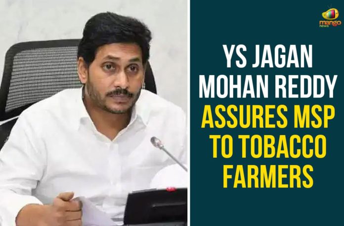 YS Jagan Mohan Reddy, MSP To Tobacco Farmers,Tobacco Farmers,AP Tobacco FarmersAndhra Pradesh Tobacco Farmers,YS Jagan,AP CM YS Jagan,Chief Minister YS Jagan Mohan Reddy,minimum prices for tobacco