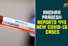 443 New Positive Cases In AP, Andhra Pradesh, AP Corona Positive Cases, AP Coronavirus, AP COVID 19 Cases, AP COVID 19 Updates, AP Total Positive Cases, Coronavirus, Coronavirus Breaking News, Coronavirus Latest News, Coronavirus Live Updates, COVID-19, Total Corona Cases In AP