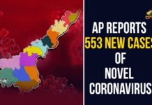 AP Reports 553 New Cases Of Novel Coronavirus andhra pradesh, AP Corona Positive Cases, AP Coronavirus, AP COVID 19 Cases, AP Total Positive Cases, Coronavirus, Coronavirus Breaking News, coronavirus latest news, Coronavirus live updates, COVID-19, Total Corona Cases In AP