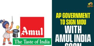 Agriculture Minister Kurasala Kannababu, andhra pradesh, Andhra Pradesh Government, AP government, AP Government To Sign MoU With Amul India, Industry Minister Gautam Reddy, memorandum of understanding, MoU With Amul India, Municipal Minister Botsaththayanarayana