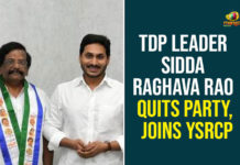 AP CM YS Jagan, AP News, AP Political Updates, Sidda Raghava Rao Joined In YCP, Sidda Raghava Rao Joined In YCP In the Presence Of AP CM YS Jagan, TDP, TDP Senior Leader Joined In YCP, TDP Senior Leader Sidda Raghava Rao, TDP Senior Leader Sidda Raghava Rao Joined In YCP, YCP, YS Jagan