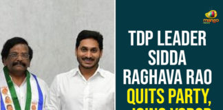 AP CM YS Jagan, AP News, AP Political Updates, Sidda Raghava Rao Joined In YCP, Sidda Raghava Rao Joined In YCP In the Presence Of AP CM YS Jagan, TDP, TDP Senior Leader Joined In YCP, TDP Senior Leader Sidda Raghava Rao, TDP Senior Leader Sidda Raghava Rao Joined In YCP, YCP, YS Jagan