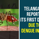 Amarachintha in Wanaparthy district, Dengue, Dengue Death In Telangana, Dengue In Telangana, First Death Due To Dengue, First Death Due To Dengue In 2020, IIT Varanasi, Telangana, Telangana Health Department, Telangana news, Telangana Reports Its First Death Due To Dengue