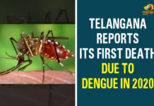 Telangana Reports Its First Death Due To Dengue In 2020 Amarachintha in Wanaparthy district, Dengue, Dengue Death In Telangana, Dengue In Telangana, First Death Due To Dengue, First Death Due To Dengue In 2020, IIT Varanasi, Telangana, Telangana Health Department, Telangana news, Telangana Reports Its First Death Due To Dengue