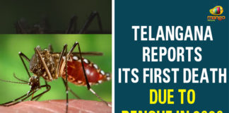 Amarachintha in Wanaparthy district, Dengue, Dengue Death In Telangana, Dengue In Telangana, First Death Due To Dengue, First Death Due To Dengue In 2020, IIT Varanasi, Telangana, Telangana Health Department, Telangana news, Telangana Reports Its First Death Due To Dengue