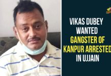 Gangster Vikas Dubey, Gangster Vikas Dubey arrested, Kanpur, Kanpur shootout, Madhya Pradesh, Mahakal police station, Ujjain, Uttar Pradesh, Vikas Dubey Wanted Gangster Of Kanpur Arrested, Vikas Dubey Wanted Gangster Of Kanpur Arrested In Ujjain