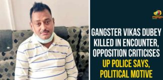 Gangster Vikas Dubey, Gangster Vikas Dubey Killed, UP Gangster Killed in Encounter, UP Gangster Vikas Dubey, UP Gangster Vikas Dubey Killed, UP Gangster Vikas Dubey Killed in Encounter, Vikas Dubey Killed in Encounter, Vikas Dubey Wanted Gangster Of Kanpur