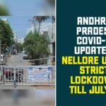 Andhra Pradesh, AP Corona Cases, AP Coronavirus, AP COVID 19, COVID 19 Lockdown, Lockdown Declared in Nellore, Lockdown Declared in Nellore City, Nellore Coronavirus Lockdown, Nellore Coronavirus News, Nellore Lockdown, Nellore News