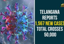 Coronavirus, Coronavirus Breaking News, Coronavirus Latest News, COVID-19, telangana, Telangana Coronavirus, Telangana Coronavirus Cases, Telangana Coronavirus Deaths, Telangana Coronavirus New Cases, Telangana Coronavirus News, Telangana New Positive Cases, Total COVID 19 Cases