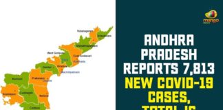 andhra pradesh, AP Corona Positive Cases, AP Coronavirus, AP COVID 19 Cases, AP Total Positive Cases, Coronavirus, Coronavirus Breaking News, coronavirus latest news, Coronavirus live updates, COVID-19, Total Corona Cases In AP