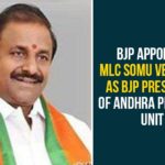 BJP Appoints MLC Somu Veerraju As BJP President Of Andhra Pradesh Unit Andhra Pradesh BJP President, Andhra Pradesh State BJP President, AP News, AP Political Updates, Somu Veerraju, Somu Veerraju Andhra BJP President, Somu Veerraju Appointed as Andhra Pradesh State BJP President, Somu Veerraju Appointed as BJP President