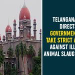 Illegal Animal Slaughtering, Illegal Animal Slaughtering In Telangana, Prevention of Cruelty to Animals Act, Strict Action Against Illegal Animal Slaughtering, Telangana Government, Telangana HC, Telangana HC On Telangana HC, Telangana High Court Illegal Animal Slaughtering, Illegal Animal Slaughtering In Telangana, Prevention of Cruelty to Animals Act, Strict Action Against Illegal Animal Slaughtering, Telangana Government, Telangana HC, Telangana HC On Telangana HC, Telangana High Court Illegal Animal Slaughtering, Illegal Animal Slaughtering In Telangana, Prevention of Cruelty to Animals Act, Strict Action Against Illegal Animal Slaughtering, Telangana Government, Telangana HC, Telangana HC On Telangana HC, Telangana High Court