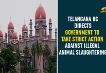Illegal Animal Slaughtering, Illegal Animal Slaughtering In Telangana, Prevention of Cruelty to Animals Act, Strict Action Against Illegal Animal Slaughtering, Telangana Government, Telangana HC, Telangana HC On Telangana HC, Telangana High Court Illegal Animal Slaughtering, Illegal Animal Slaughtering In Telangana, Prevention of Cruelty to Animals Act, Strict Action Against Illegal Animal Slaughtering, Telangana Government, Telangana HC, Telangana HC On Telangana HC, Telangana High Court Illegal Animal Slaughtering, Illegal Animal Slaughtering In Telangana, Prevention of Cruelty to Animals Act, Strict Action Against Illegal Animal Slaughtering, Telangana Government, Telangana HC, Telangana HC On Telangana HC, Telangana High Court