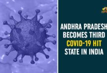 andhra pradesh, AP Corona Positive Cases, AP Coronavirus, AP COVID 19 Cases, AP Total Positive Cases, Coronavirus, Coronavirus Breaking News, coronavirus latest news, Coronavirus live updates, COVID-19, Total Corona Cases In AP