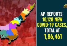 andhra pradesh, AP Corona Positive Cases, AP Coronavirus, AP COVID 19 Cases, AP Total Positive Cases, Coronavirus, Coronavirus Breaking News, coronavirus latest news, Coronavirus live updates, COVID-19, Total Corona Cases In AP