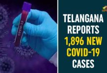 Coronavirus, Coronavirus Breaking News, Coronavirus Latest News, COVID-19, telangana, Telangana Coronavirus, Telangana Coronavirus Cases, Telangana Coronavirus Deaths, Telangana Coronavirus New Cases, Telangana Coronavirus News, Telangana New Positive Cases, Total COVID 19 Cases