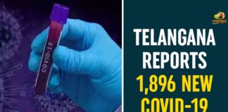 Coronavirus, Coronavirus Breaking News, Coronavirus Latest News, COVID-19, telangana, Telangana Coronavirus, Telangana Coronavirus Cases, Telangana Coronavirus Deaths, Telangana Coronavirus New Cases, Telangana Coronavirus News, Telangana New Positive Cases, Total COVID 19 Cases