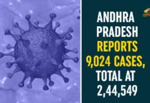 Andhra Pradesh Reports 9,024 Cases, Total At 2,44,549 andhra pradesh, AP Corona Positive Cases, AP Coronavirus, AP COVID 19 Cases, AP Total Positive Cases, Coronavirus, Coronavirus Breaking News, coronavirus latest news, Coronavirus live updates, COVID-19, Total Corona Cases In AP