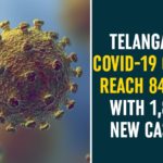 Coronavirus, Coronavirus Breaking News, Coronavirus Latest News, COVID-19, telangana, Telangana Coronavirus, Telangana Coronavirus Cases, Telangana Coronavirus Deaths, Telangana Coronavirus New Cases, Telangana Coronavirus News, Telangana New Positive Cases, Total COVID 19 Cases