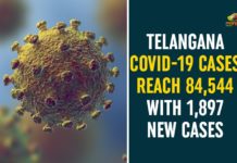 Telangana COVID-19 Cases Reach 84,544 With 1,897 New Cases Coronavirus, Coronavirus Breaking News, Coronavirus Latest News, COVID-19, telangana, Telangana Coronavirus, Telangana Coronavirus Cases, Telangana Coronavirus Deaths, Telangana Coronavirus New Cases, Telangana Coronavirus News, Telangana New Positive Cases, Total COVID 19 Cases