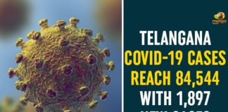 Coronavirus, Coronavirus Breaking News, Coronavirus Latest News, COVID-19, telangana, Telangana Coronavirus, Telangana Coronavirus Cases, Telangana Coronavirus Deaths, Telangana Coronavirus New Cases, Telangana Coronavirus News, Telangana New Positive Cases, Total COVID 19 Cases