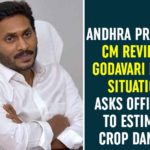 Andhra Pradesh CM Reviews Godavari Flood Situation, Asks Officials To Estimate Crop Damage Andhra Pradesh, Andhra Pradesh Floods, Andhra Pradesh News, Andhra Pradesh Rains, AP CM YS Jagan, AP News, Flood Situation in Godavari Districts, Godavari, YS Jagan Video Conference, YS Jagan Video Conference over Flood Situation, YS Jagan Video Conference over Flood Situation in Godavari Districts