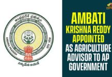 Ambati Krishna Reddy, Ambati Krishna Reddy as AP Govt Advisor, Ambati Krishna Reddy as Govt Advisor, Andhra Pradesh, Andhra Pradesh Political News, AP Government, AP Govt Advisor, AP Govt Advisor Ambati Krishna Reddy, AP Govt Advisor News