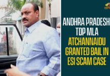 Andhra Pradesh, Andhra Pradesh News, AP High Court, AP High Court Grants Bail to Tekkali TDP MLA Atchannaidu, Atchannaidu, Atchannaidu Bail, Bail to Tekkali TDP MLA Atchannaidu, TDP MLA Atchannaidu, TDP MLA Atchannaidu Bail, TDP MLA Atchannaidu Got Bail, Tekkali, Tekkali TDP MLA Atchannaidu