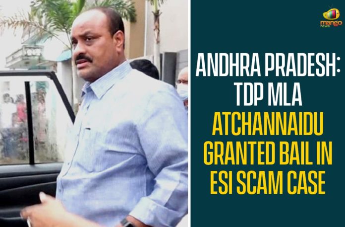 Andhra Pradesh, Andhra Pradesh News, AP High Court, AP High Court Grants Bail to Tekkali TDP MLA Atchannaidu, Atchannaidu, Atchannaidu Bail, Bail to Tekkali TDP MLA Atchannaidu, TDP MLA Atchannaidu, TDP MLA Atchannaidu Bail, TDP MLA Atchannaidu Got Bail, Tekkali, Tekkali TDP MLA Atchannaidu
