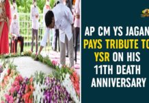 AP NEWS, AP Political News, Chief Minister of Andhra Pradesh, ys jagan mohan reddy, YS Jagan Mohan Reddy Pays Tribute To YS Rajasekhara Reddy, YS Rajasekhara Reddy, YS Rajasekhara Reddy Death Anniversary, YSR, YSR Congress Party, YSR Death Anniversary, YSR Death Anniversary News