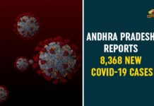 Andhra Pradesh, Andhra Pradesh COVID-19 Daily Bulletin, Andhra Pradesh Department of Health, ap coronavirus cases today, ap coronavirus cases total, ap coronavirus updates district wise, AP COVID 19 Cases, AP Total Positive Cases, COVID-19, COVID-19 Daily Bulletin, Total Corona Cases In AP
