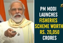animal husbandry schemes, fisheries and animal husbandry schemes, Fisheries Scheme, Fisheries Scheme In India, fisheries sector in India, Matsya Sampada Yojana, PM Matsya Sampada Yojana, PM Modi Fisheries Scheme, PM Modi launches fisheries and animal husbandry schemes, PM Modi Launches Fisheries Scheme, PMMSY, Prime Minister Narendra Modi