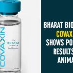 Bharat Biotech COVAXIN, Bharat Biotech COVAXIN Shows Positive Results, Bharat Biotech COVAXIN Shows Positive Results On Animals, Coronavirus Vaccine COVAXIN, COVAXIN, COVAXIN Clinical Trial, Covaxin Medical Dose, COVAXIN Trials, COVAXIN Trials On Animals, ICMR, Indian Council of Medical Research