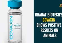Bharat Biotech COVAXIN, Bharat Biotech COVAXIN Shows Positive Results, Bharat Biotech COVAXIN Shows Positive Results On Animals, Coronavirus Vaccine COVAXIN, COVAXIN, COVAXIN Clinical Trial, Covaxin Medical Dose, COVAXIN Trials, COVAXIN Trials On Animals, ICMR, Indian Council of Medical Research