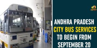 Andhra Pradesh, Andhra Pradesh City Bus Services, Andhra Pradesh State Road Transport Corporation, AP City Bus Services, AP News, APSRTC, APSRTC News, APSRTC To Start City Bus Services, APSRTC To Start City Buses, APSRTC Updates, City Bus Services in AP, City Bus Services in AP to Start, RTC to launch city bus services