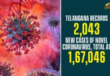 Coronavirus, COVID-19, Covid-19 Updates in Telangana, telangana corona district wise cases, telangana coronavirus cases district wise, telangana coronavirus cases today, telangana coronavirus cases today district wise, telangana coronavirus district wise, telangana coronavirus district wise List, Telangana Coronavirus News, telangana covid cases today bulletin, telangana covid cases today list
