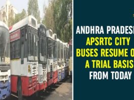 andhra pradesh, Andhra Pradesh APSRTC City Buses, Andhra Pradesh APSRTC City Buses Resume, APSRTC, APSRTC City Buses, APSRTC City Buses Resume, APSRTC City Buses Resume Today, APSRTC News, APSRTC To Start City Buses, APSRTC Updates, City Buses Services in AP