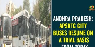 andhra pradesh, Andhra Pradesh APSRTC City Buses, Andhra Pradesh APSRTC City Buses Resume, APSRTC, APSRTC City Buses, APSRTC City Buses Resume, APSRTC City Buses Resume Today, APSRTC News, APSRTC To Start City Buses, APSRTC Updates, City Buses Services in AP