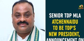 AP NEWS, AP Political Updates, Atchennaidu To Be TDP New President, chandrababu naidu, President of the TDP, Senior TDP MLA Atchennaidu, TDP, TDP MLA Atchennaidu, TDP National President Chandrababu Naidu, TDP News, TDP’s New President