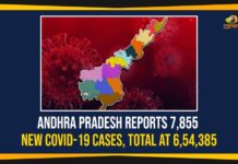Andhra Pradesh, Andhra Pradesh COVID-19 Daily Bulletin, Andhra Pradesh Department of Health, ap coronavirus cases today, ap coronavirus cases total, ap coronavirus updates district wise, AP COVID 19 Cases, AP Total Positive Cases, COVID-19, COVID-19 Daily Bulletin, Total Corona Cases In AP