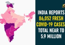 Coronavirus Cases, coronavirus cases in india state wise, coronavirus cases in india today state wise, coronavirus cases india, coronavirus india, India Coronavirus, India Covid-19 Updates, New Confirmed Corona Cases, New Confirmed Corona Cases Reported only in 10 States, total corona cases in india today, total corona positive in india