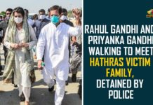 Hathras, Hathras gangrape case, Hathras Gangrape Case Updates, Hathras Victim Family, priyanka gandhi, Priyanka Gandhi arrested, Priyanka Gandhi Walking To Meet Hathras Victim Family, Rahul, rahul gandhi, Rahul Gandhi Detained By Police, Rahul Gandhi detained on way to Hathras
