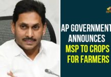 Andhra Pradesh government announce MSP for crops, AP announce MSP for Kharif crops on October 1, AP Govt Announces Minimum Prices for 24 Types of Crops, AP Minimum Prices for 24 Types of Crops, AP News, Minimum Prices for 24 Types of Crops, Minimum Prices for Crops, MSP for Kharif crops, MSP for Kharif crops in Ap, MSP for Khariff crops, MSP for Rabi Crops for marketing