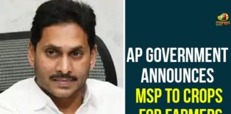 Andhra Pradesh government announce MSP for crops, AP announce MSP for Kharif crops on October 1, AP Govt Announces Minimum Prices for 24 Types of Crops, AP Minimum Prices for 24 Types of Crops, AP News, Minimum Prices for 24 Types of Crops, Minimum Prices for Crops, MSP for Kharif crops, MSP for Kharif crops in Ap, MSP for Khariff crops, MSP for Rabi Crops for marketing